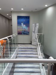 -上海漾颜医疗美容