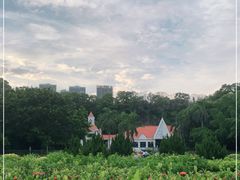 -南沙蒲洲花园