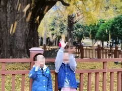 -千年银杏谷文化旅游区
