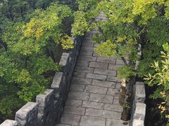 -塔云山