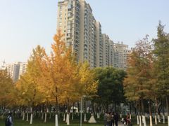 -西北湖绿化广场