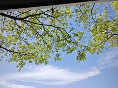 -暮谷MUGO ·团建聚会·露营烧烤·生日派对·共享菜地