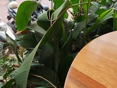 -婉泰·特色小吃·舂鸡脚(告庄二店)