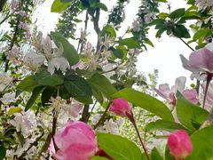 -元大都城垣遗址公园