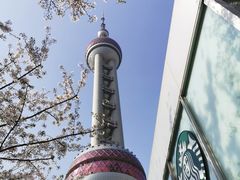 -东方明珠广播电视塔