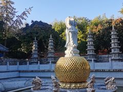 -普照寺