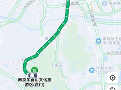 -鸭小妹鸭血粉丝(老门东店)