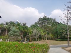 -清远熹乐谷温泉度假酒店