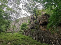 -香炉山国家森林公园
