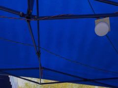 -章记正宗南岗鱼蛋火锅