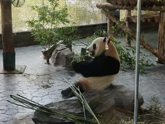 -上海野生动物园