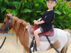 -渔岛海洋度假区