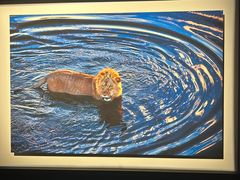 -罗红摄影艺术馆