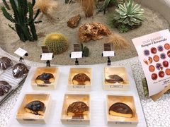 -OUR Bakery(SKP-S店)