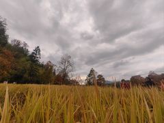 -塔川景区