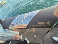 -星光大道