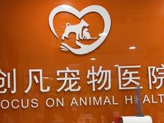 -创凡宠物医院·骨专科  猫科中心(西乡分院)
