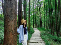 -山王坪喀斯特国家生态公园