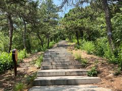 -北京西山国家森林公园