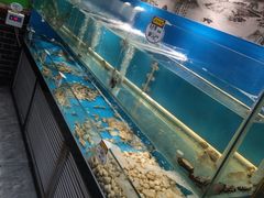 -高家烧鸽子烧烤店63年