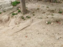 -长春公园(普阳街道)