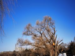 -长春市南湖公园