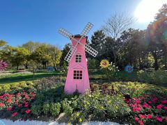 -上海共青森林公园