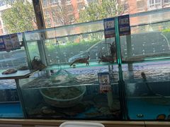 -金沙滩海鲜餐厅·海肠捞饭·手工水饺·无预制菜(梅江龙水园店)