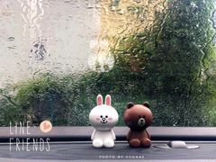 -line friends(明洞旗舰店)