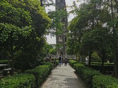 -上海佘山国家森林公园天马山园