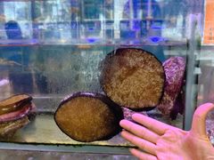 -好彩海鲜火锅饭店(银河百老汇店)