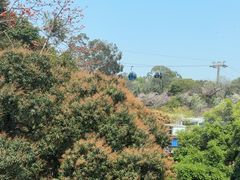 -点都德(广州白云山景区南门店)