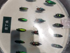 -陕西自然博物馆