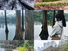 -重庆彩云湖湿地公园