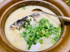 天目湖鱼头-海江5号