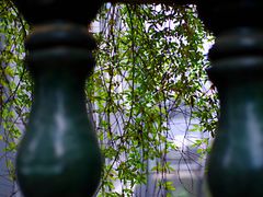 -湖南省立第一师范学校旧址