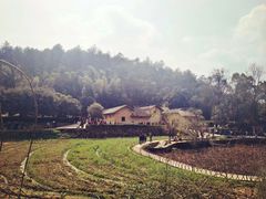 -韶山毛泽东同志故居