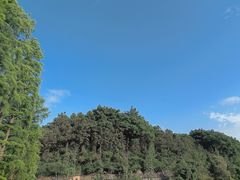 -青山湖景区