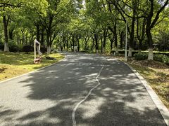 -白塘生态植物园