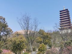 -牛首山文化旅游区