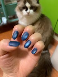 -斯馨·健康美甲美睫