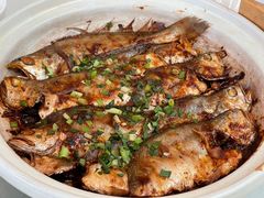 砂锅焗黄花鱼（大）-食家鸽园