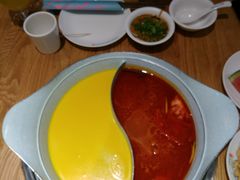 -青瓷火锅料理(西单大悦城店)