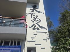 -千岛湖东南湖区