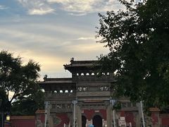 -北陵公园