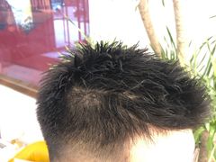 -大洋晶典(东街店)