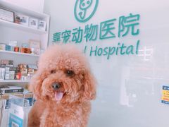 -嘉宠动物医院