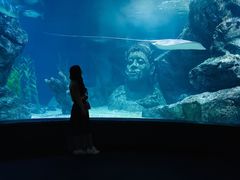 -暹罗海洋世界