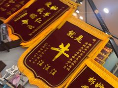 -半岛宠物医院24小时·内窥镜·牙科·碎石中心(府城大道店)