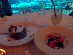 -迪拜帆船酒店海底餐厅